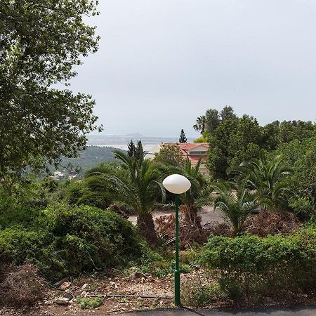 Nir Etzion Resort Ein Hod Kültér fotó
